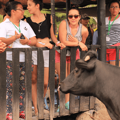 Pasadia Ecoparque Chinauta